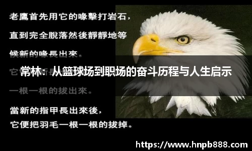 常林：从篮球场到职场的奋斗历程与人生启示